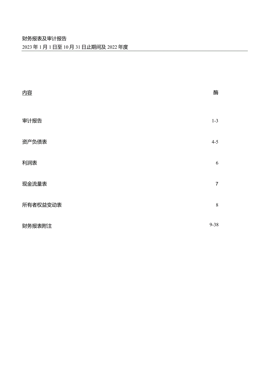 中洲控股：青岛市旺洲置业有限公司审计报告.docx_第2页