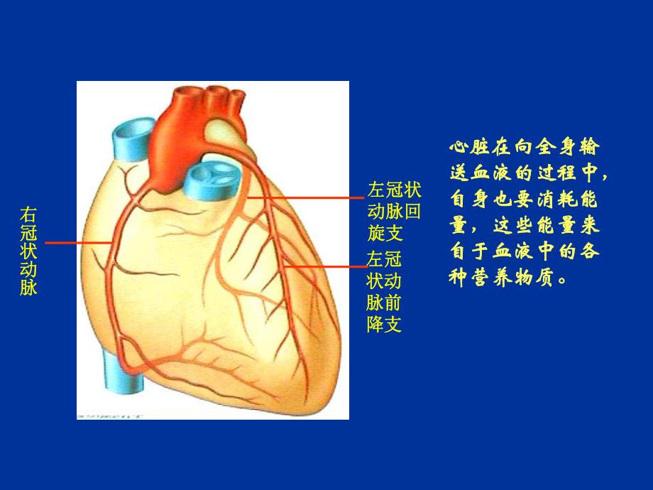 冠心病介入治疗简述.ppt_第3页