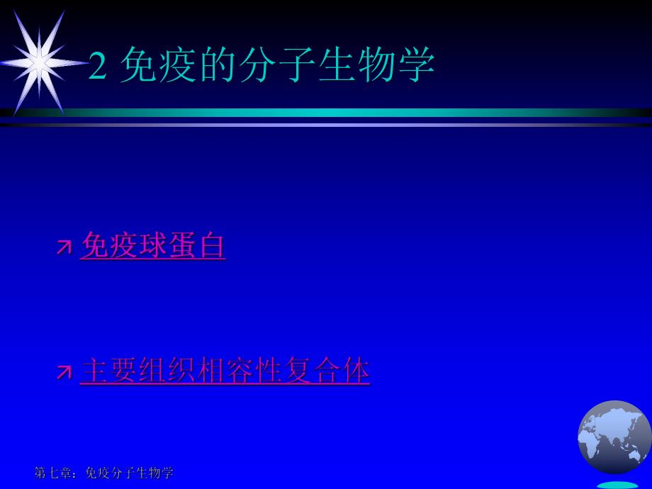 免疫分子生物学 免疫球蛋白.ppt_第3页