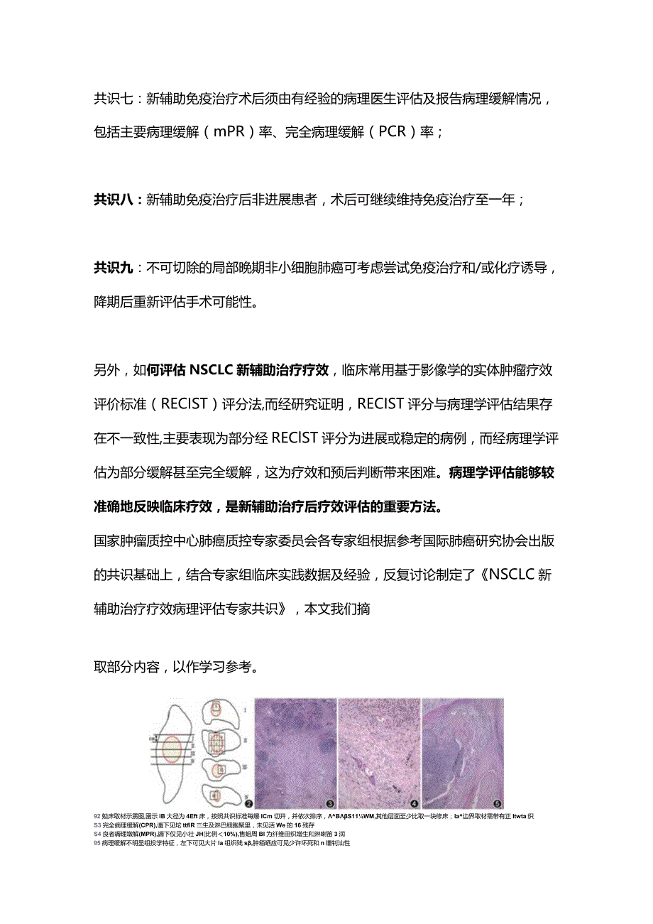 2024非小细胞肺癌免疫新辅助治疗要点和疗效病理评估.docx_第3页