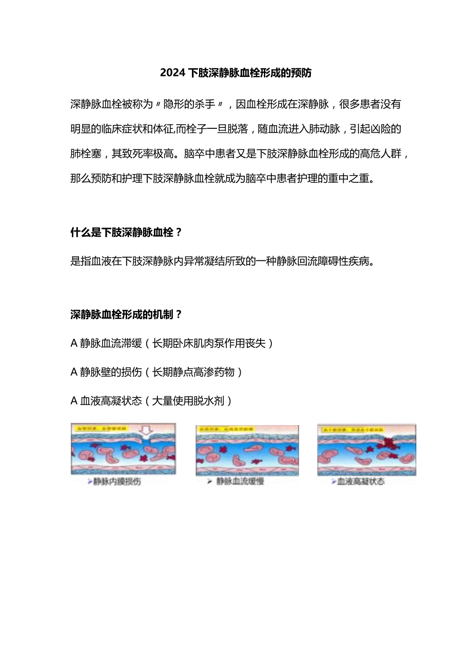 2024下肢深静脉血栓形成的预防.docx_第1页