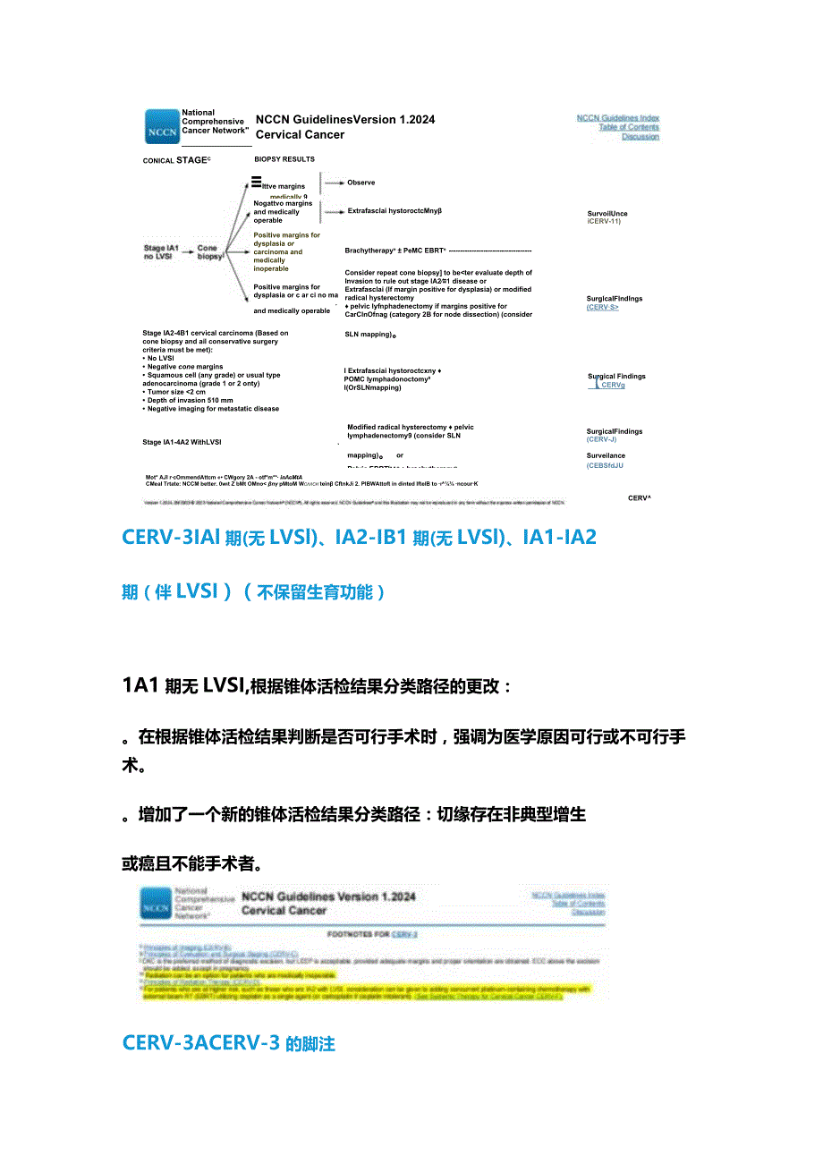 NCCN临床实践指南：宫颈癌（2024.V1）更新内容.docx_第2页