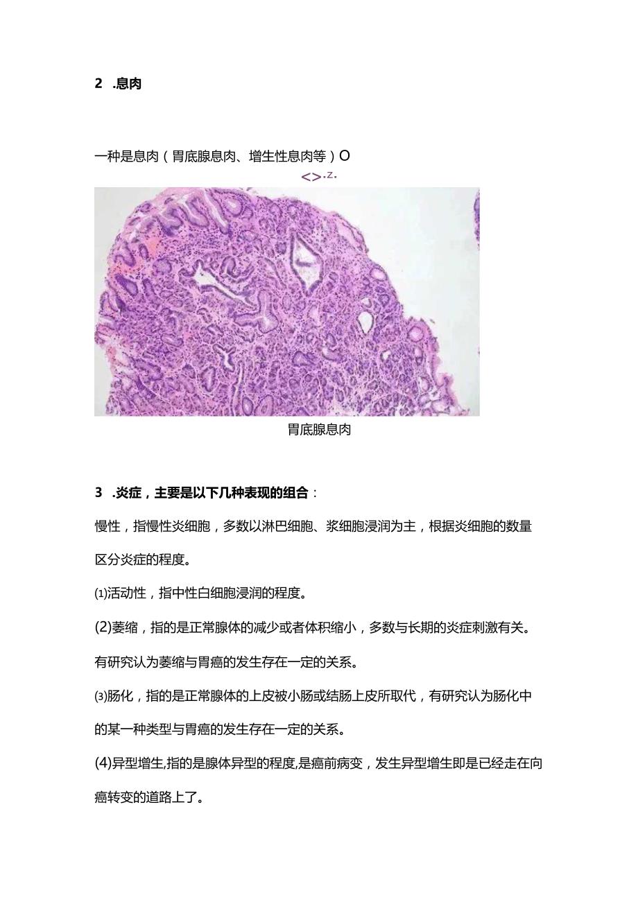 2024胃镜活检病理报告.docx_第3页