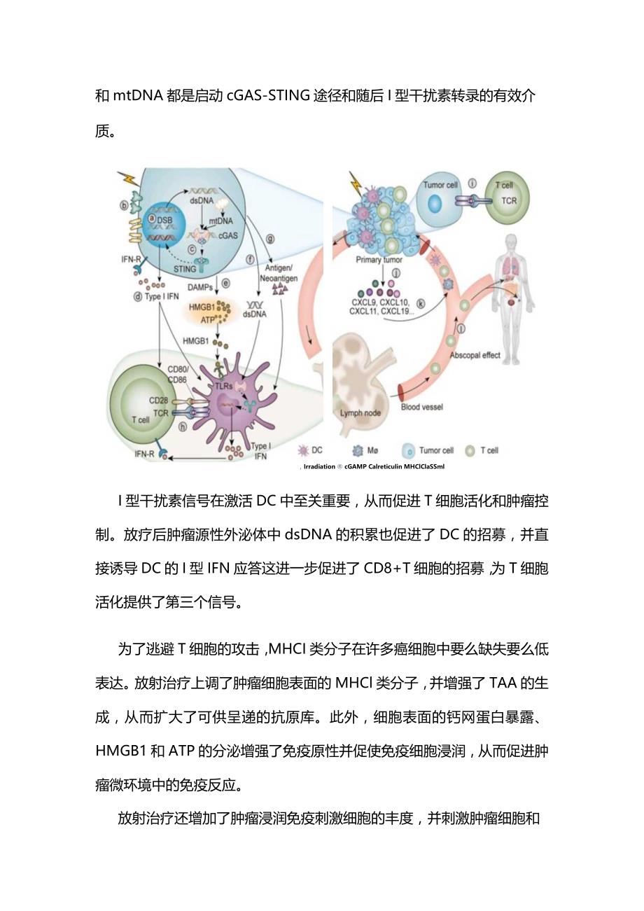 2024免疫治疗时代的放射治疗.docx_第2页