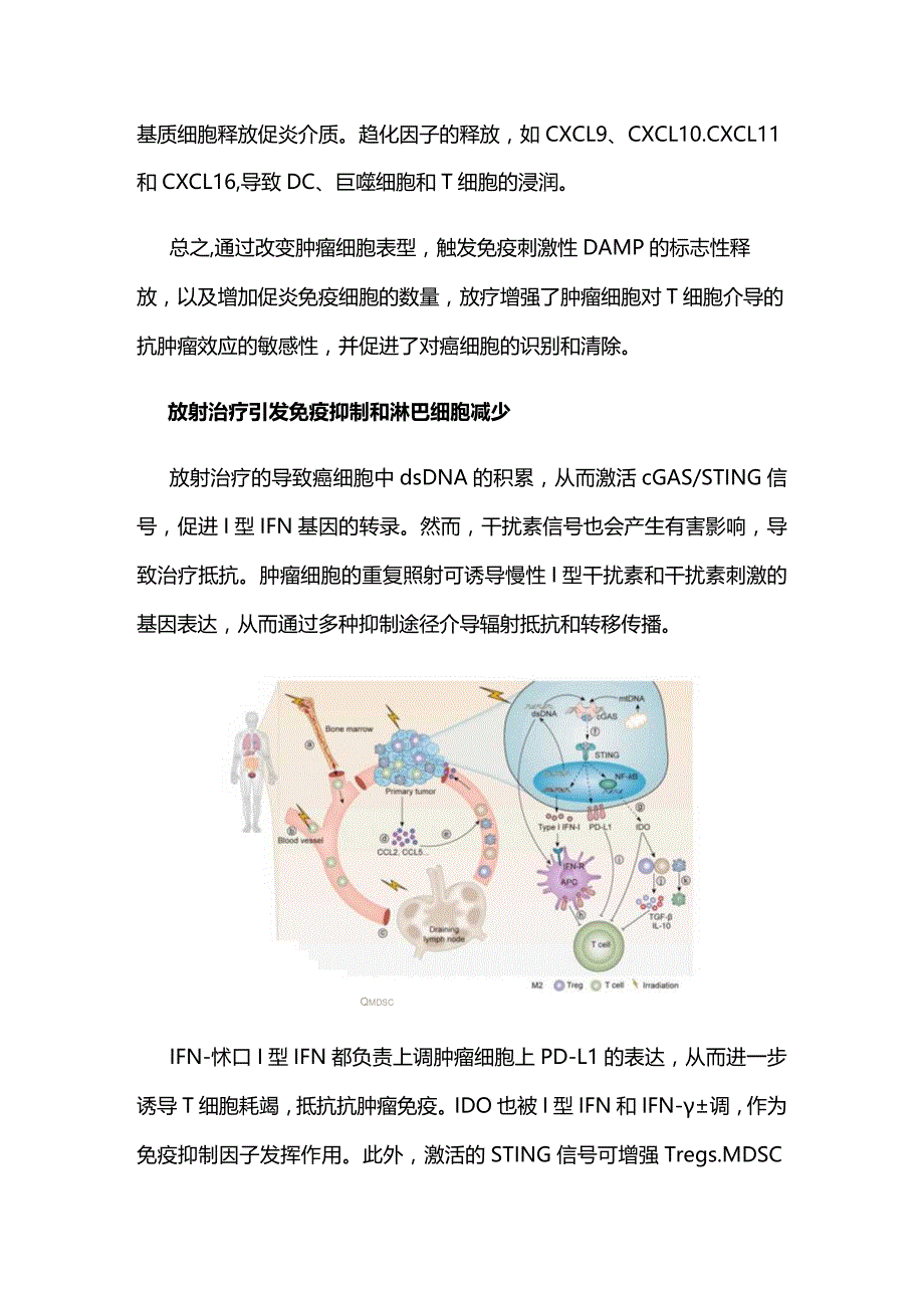 2024免疫治疗时代的放射治疗.docx_第3页