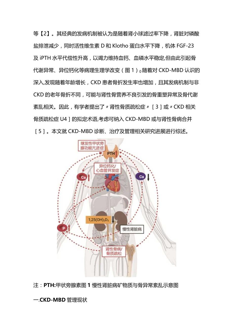 慢性肾脏病矿物质和骨异常研究进展2023.docx_第2页