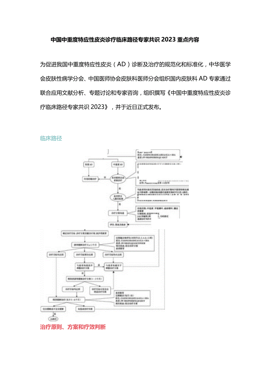 中国中重度特应性皮炎诊疗临床路径专家共识2023重点内容.docx_第1页