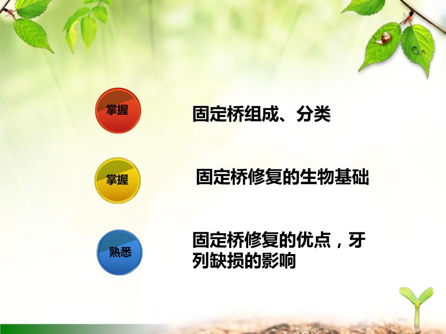 口腔修复学第五章 固定桥.ppt_第2页