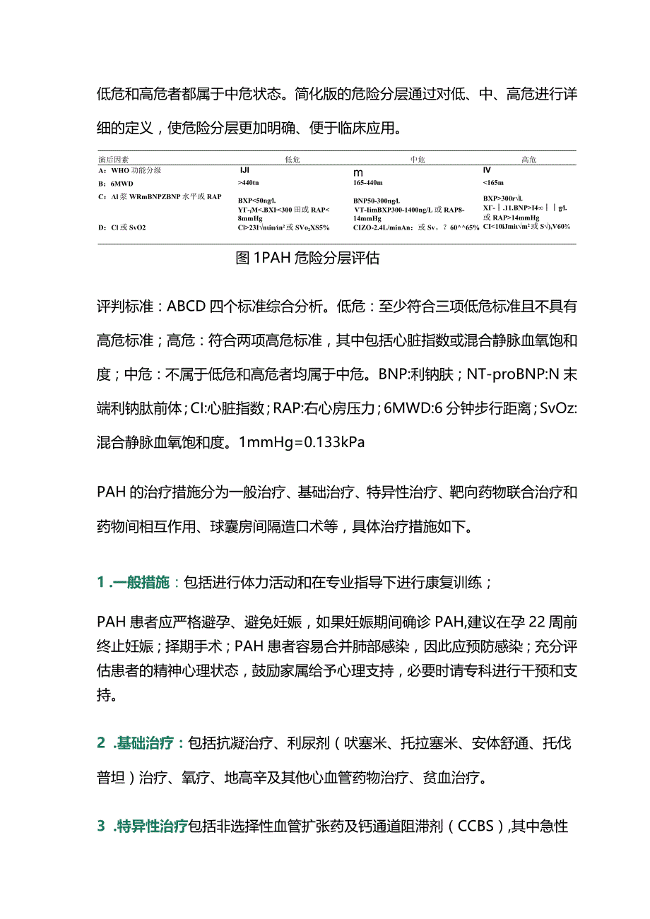 动脉性肺动脉高压的风险评估及治疗2024.docx_第2页