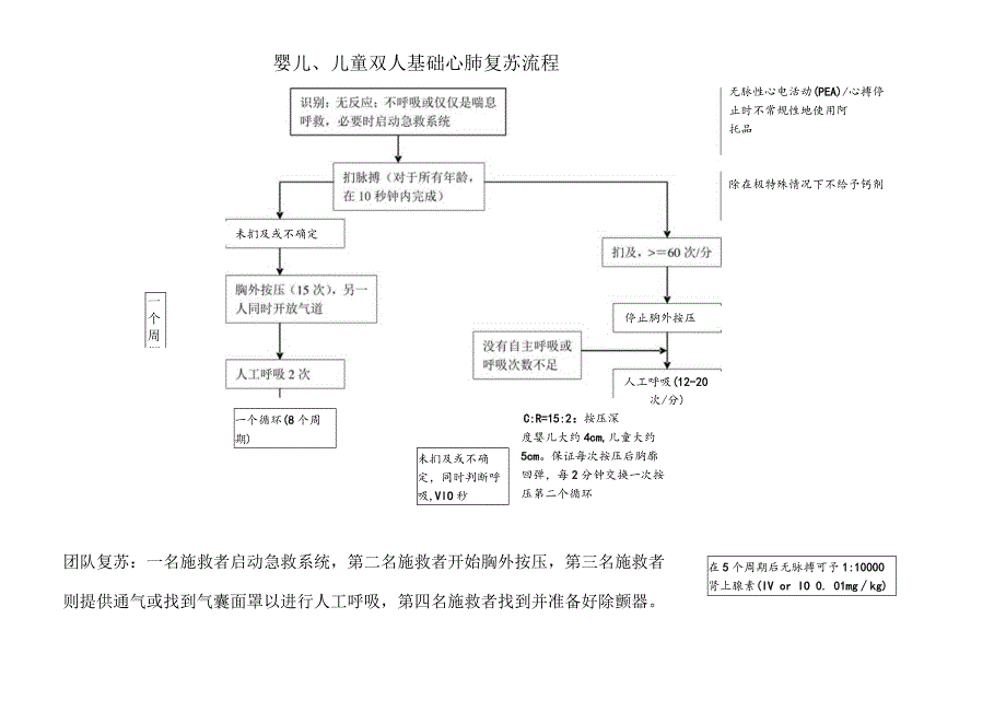 婴儿、儿童双人基础心肺复苏流程.docx_第1页