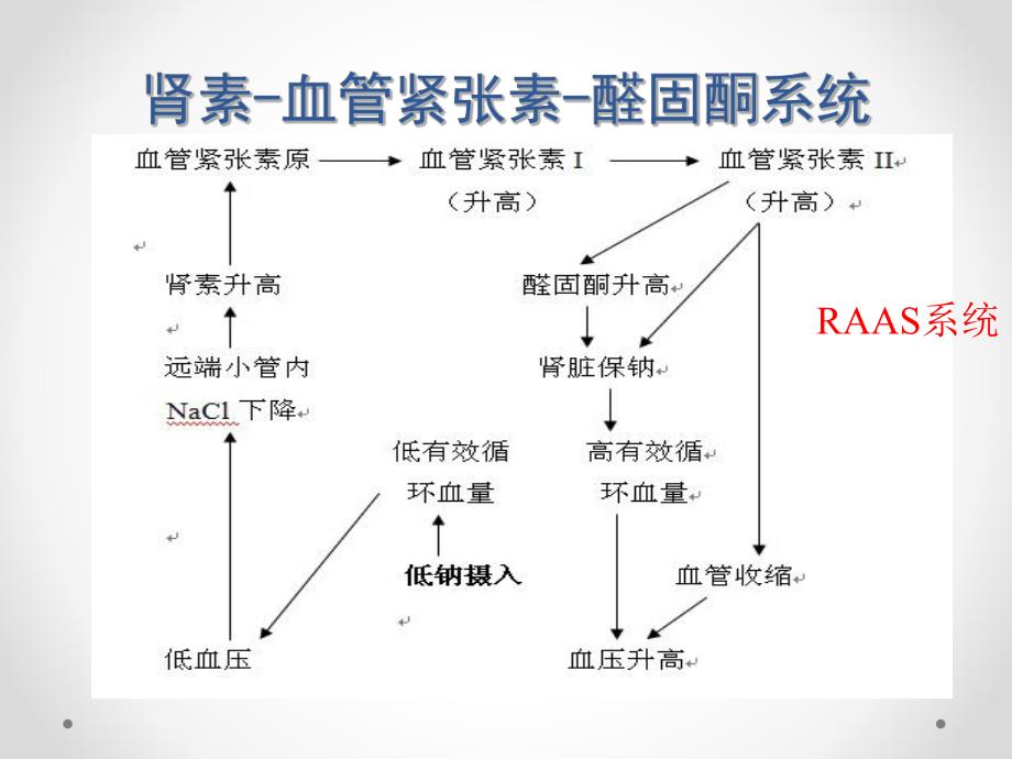 原发性醛固酮增多症1.ppt_第3页