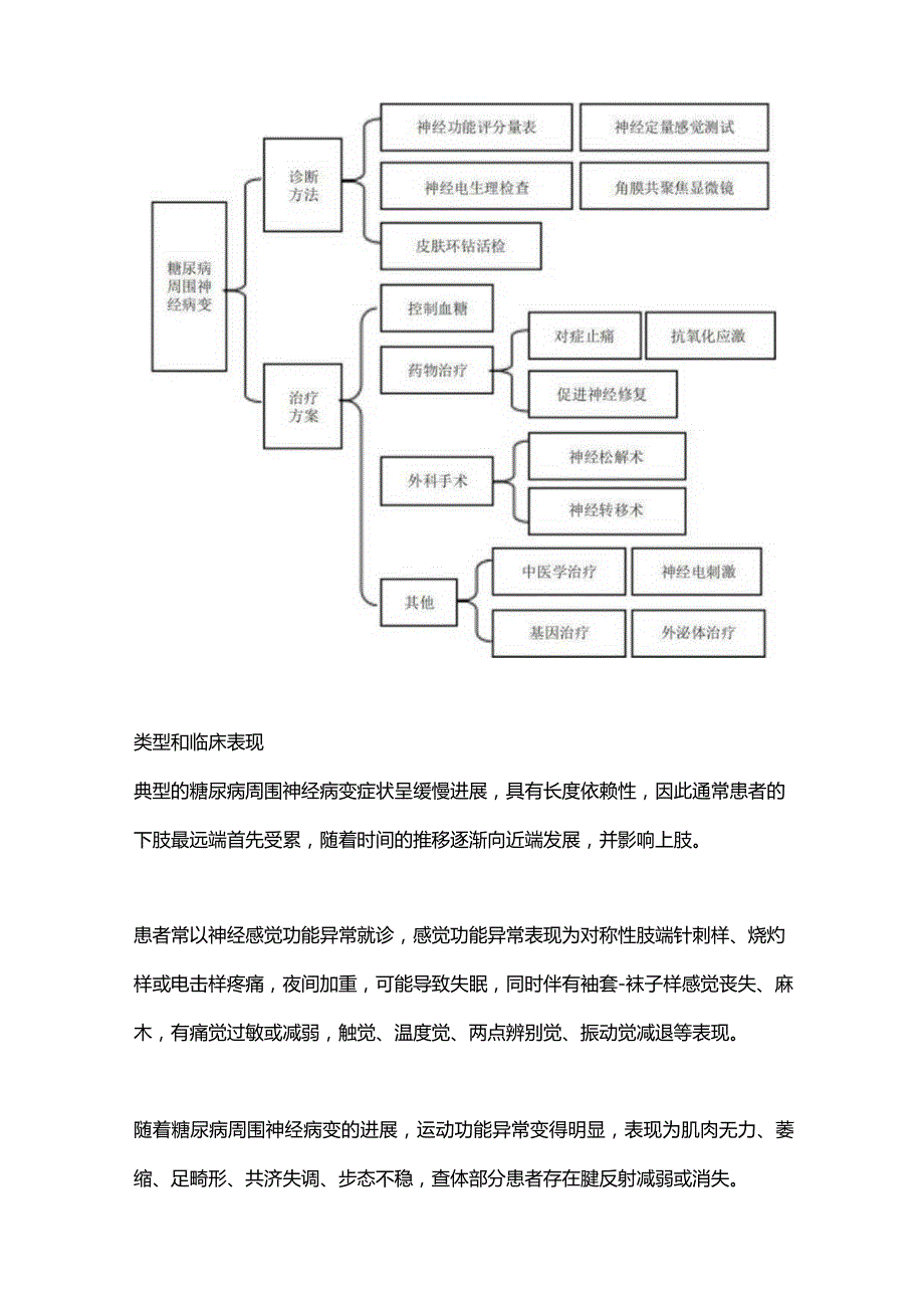 2024治疗糖尿病周围神经病变用药.docx_第2页