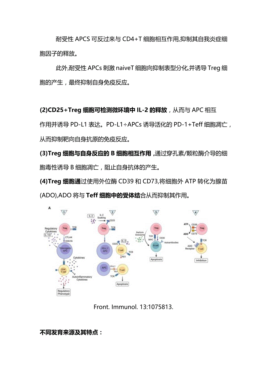 2024自身免疫病中三类免疫抑制细胞.docx_第2页