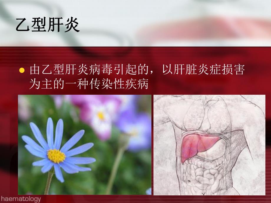 乙肝免疫预防培训.ppt_第2页