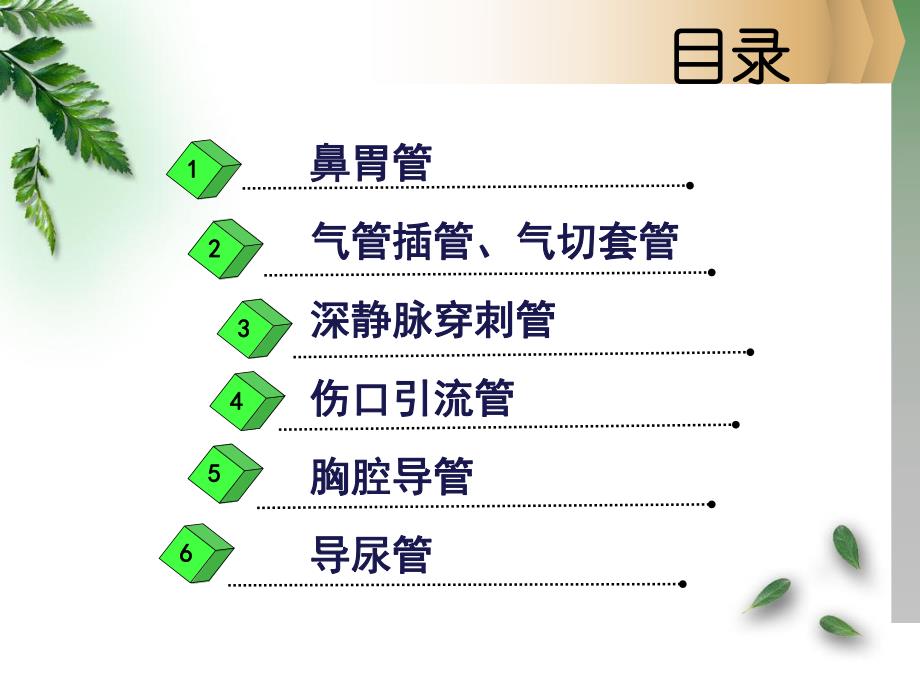 各类导管的护理.ppt.ppt_第2页