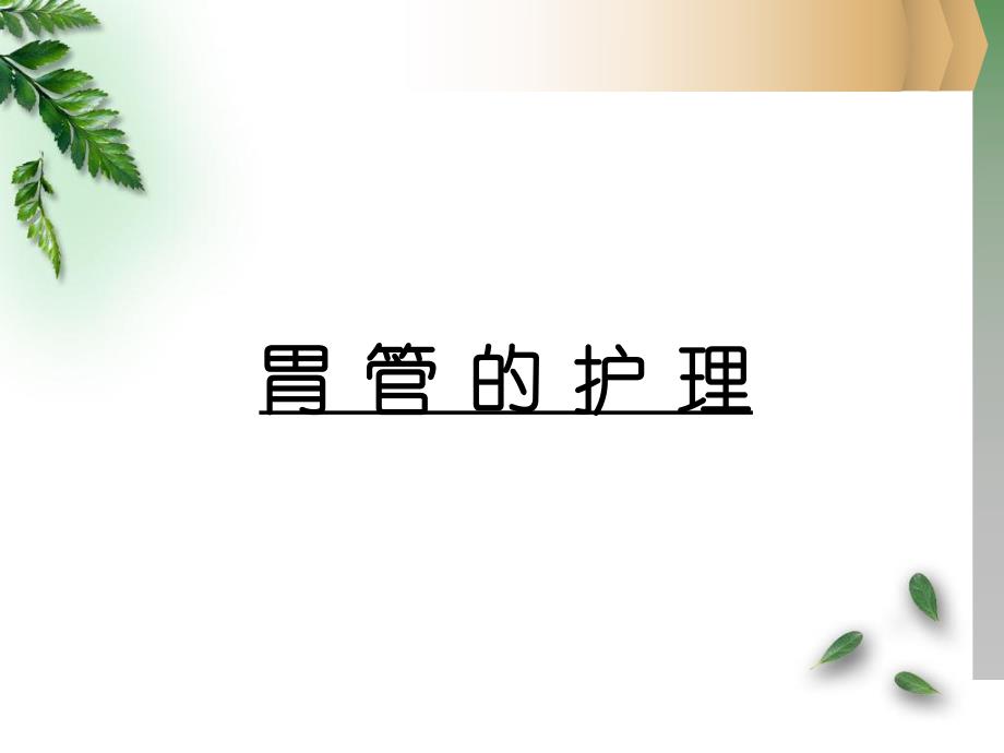 各类导管的护理.ppt.ppt_第3页