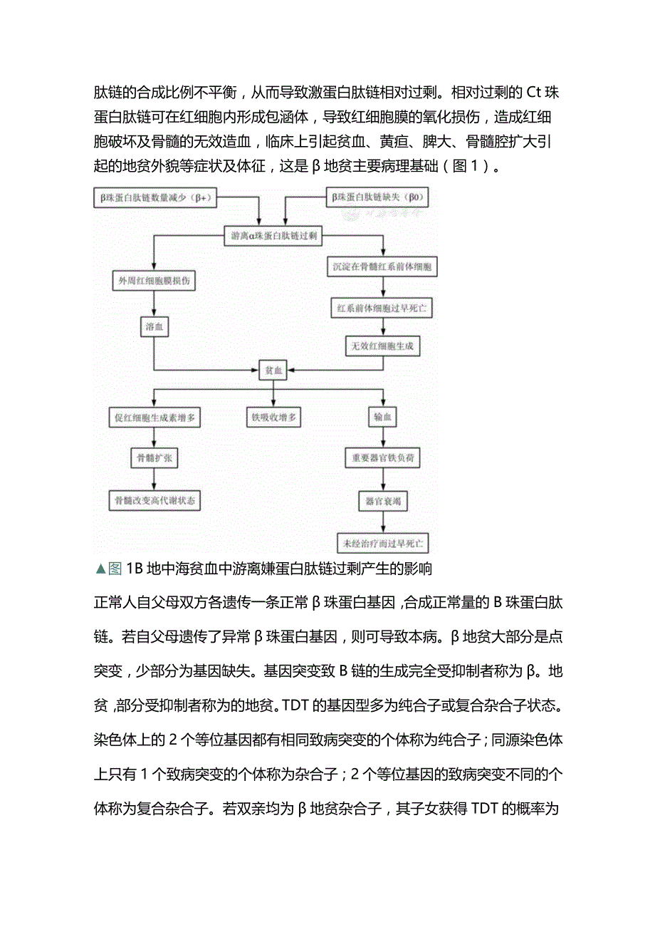 最新中国输血依赖型β地中海贫血诊断与治疗指南（2022年版）.docx_第2页