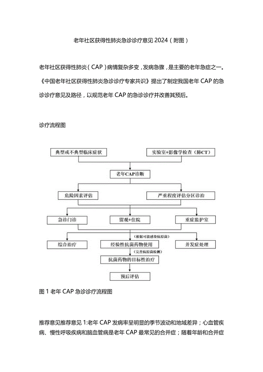 老年社区获得性肺炎急诊诊疗意见2024（附图）.docx_第1页