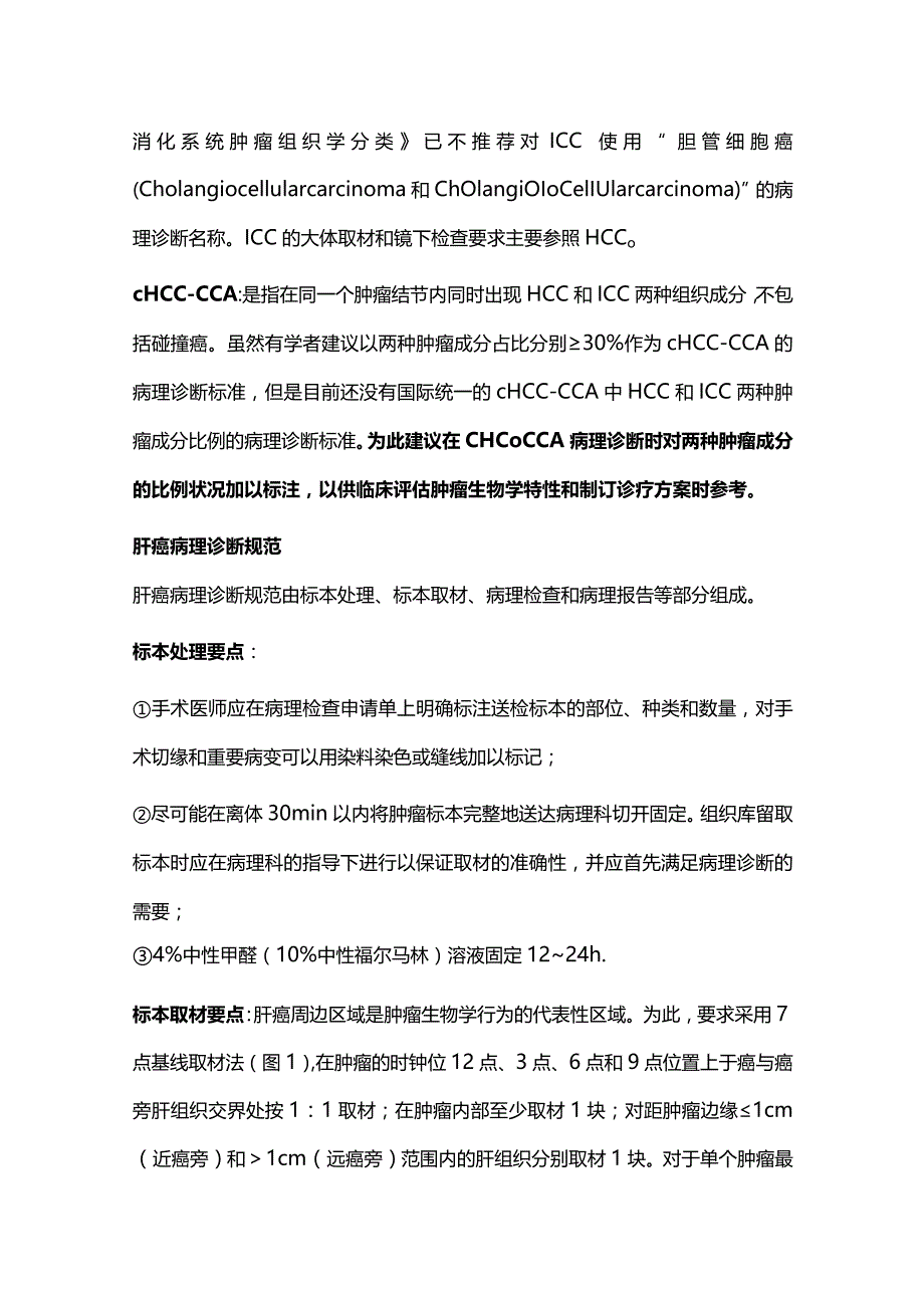 2024原发性肝癌的诊断及分期.docx_第2页