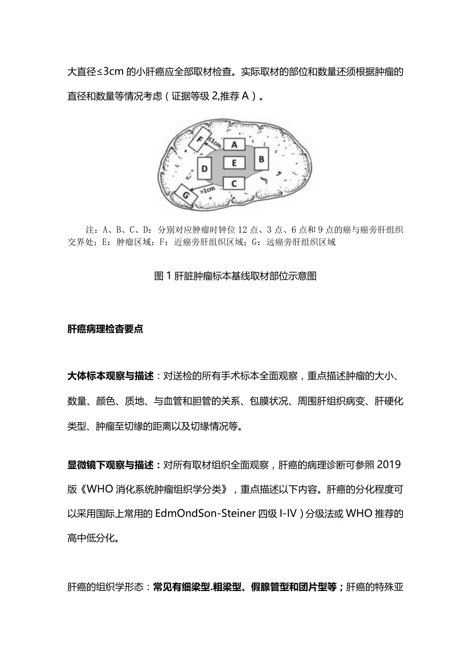 2024原发性肝癌的诊断及分期.docx_第3页