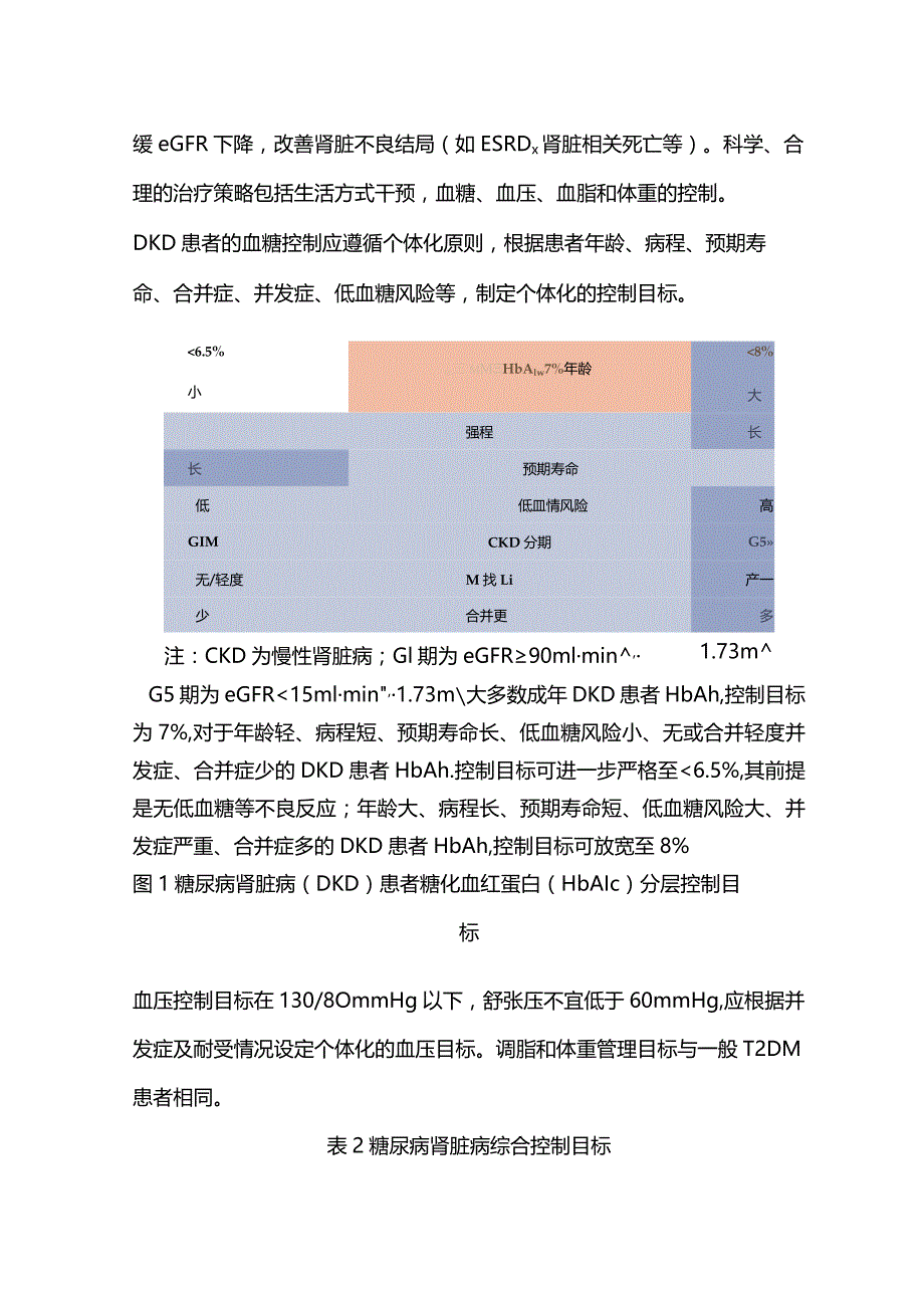 国家基层糖尿病肾脏病防治技术指南（2023）核心要点.docx_第3页