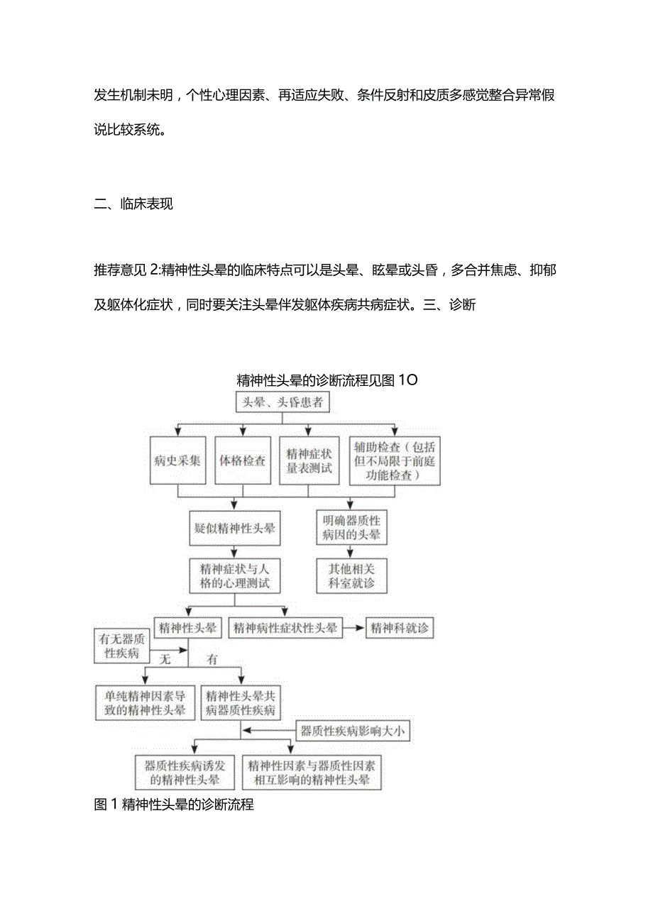 2024精神性头晕的规范性诊治专家共识推荐意见总结.docx_第2页