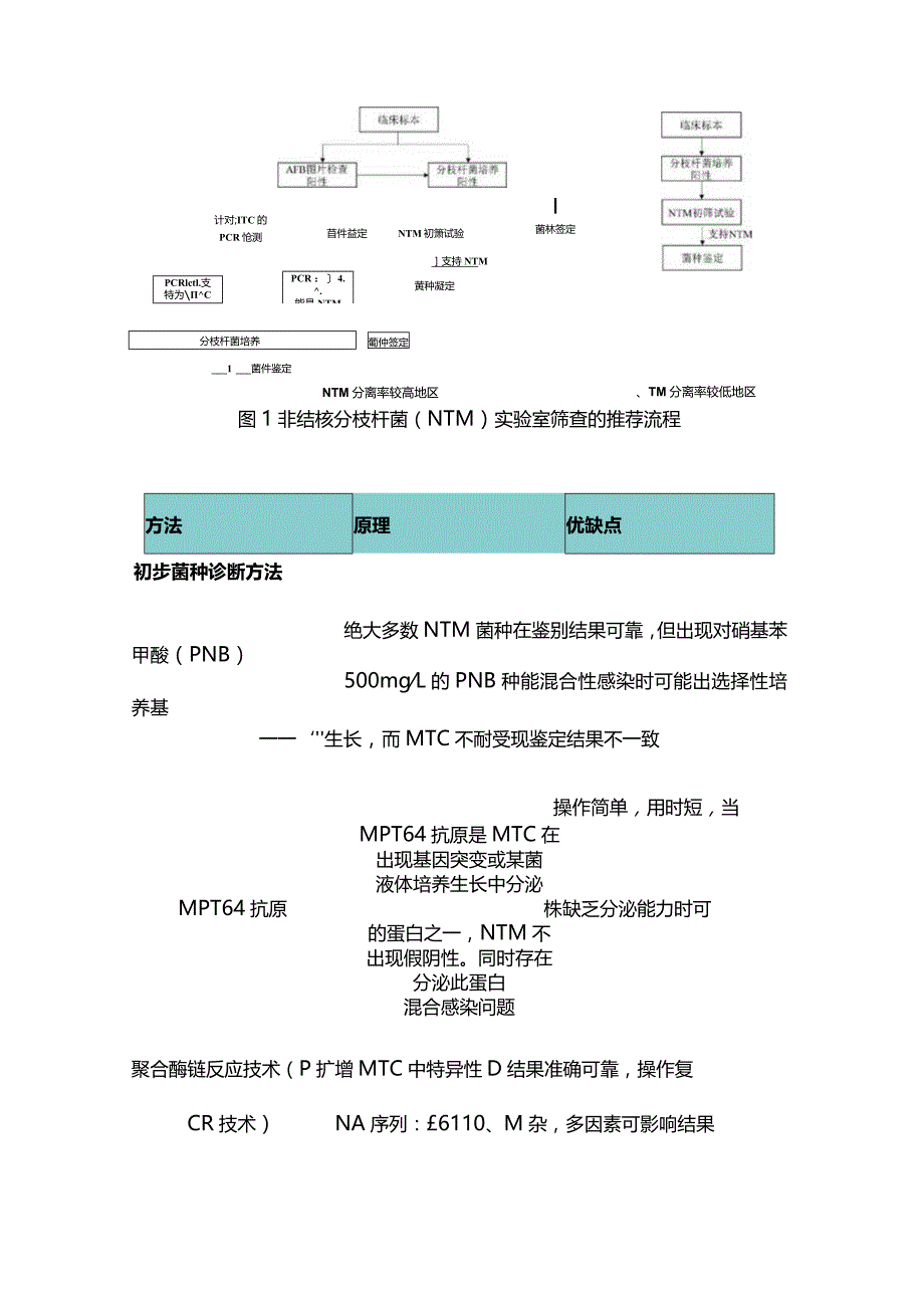 2024非结核分枝杆菌知识科普.docx_第3页