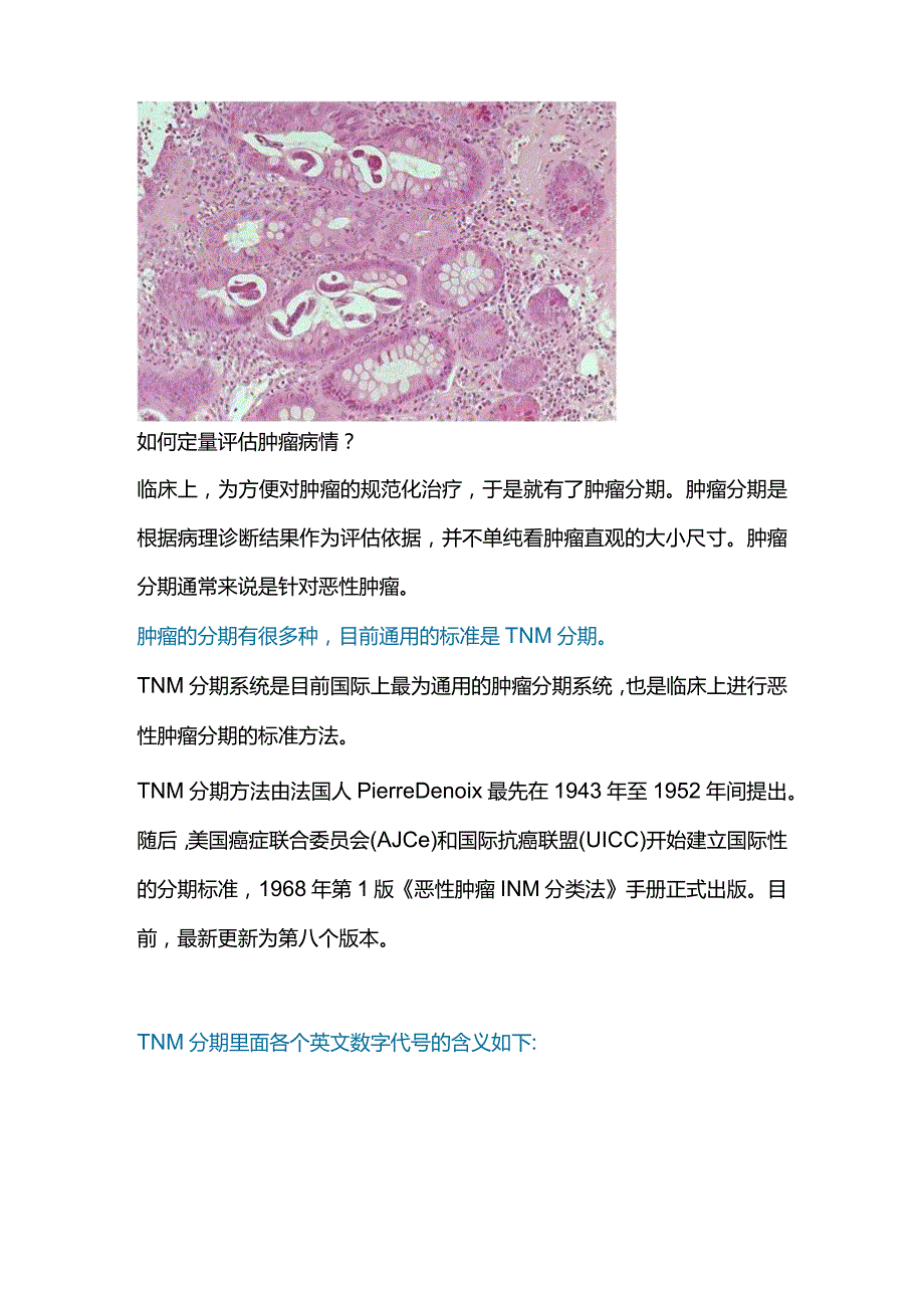 2024肿瘤病理分期、TNM分期.docx_第2页