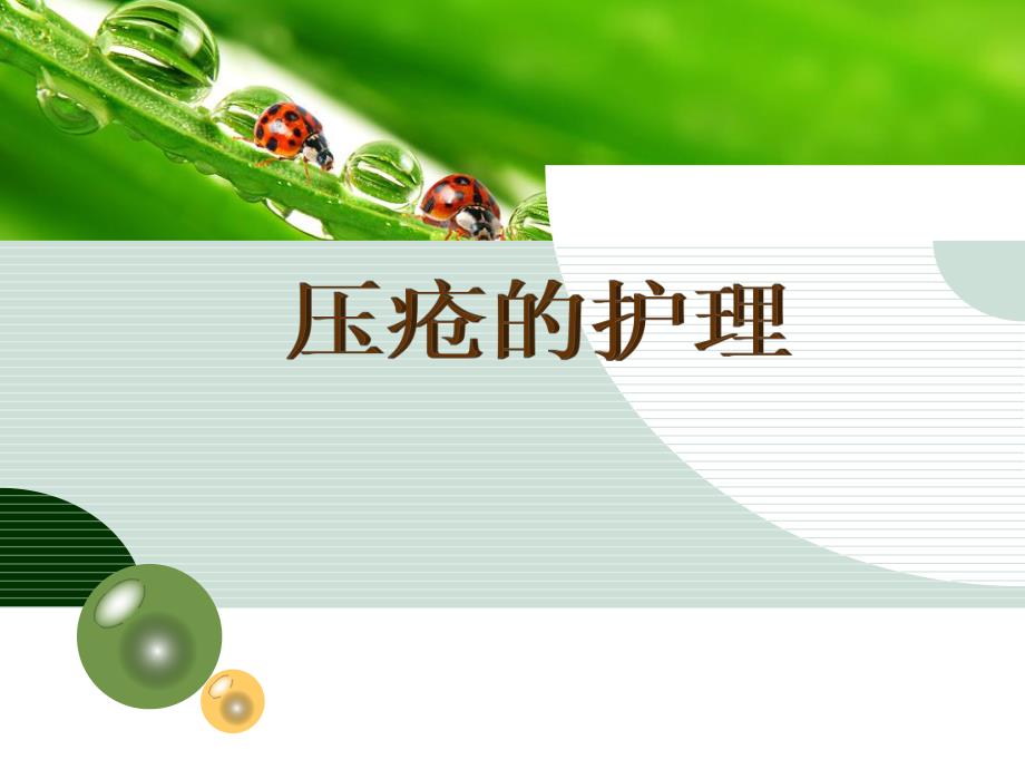 压疮的护理.ppt_第1页