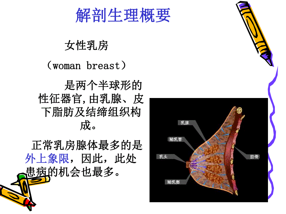 乳房疾病1.ppt_第2页