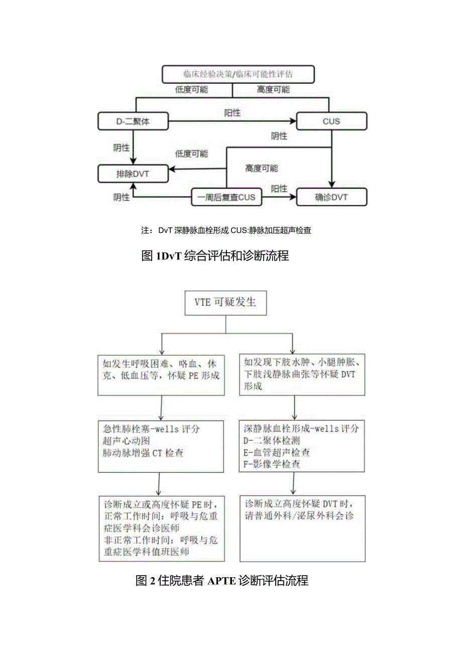 科室VTE防治管理制度.docx_第2页