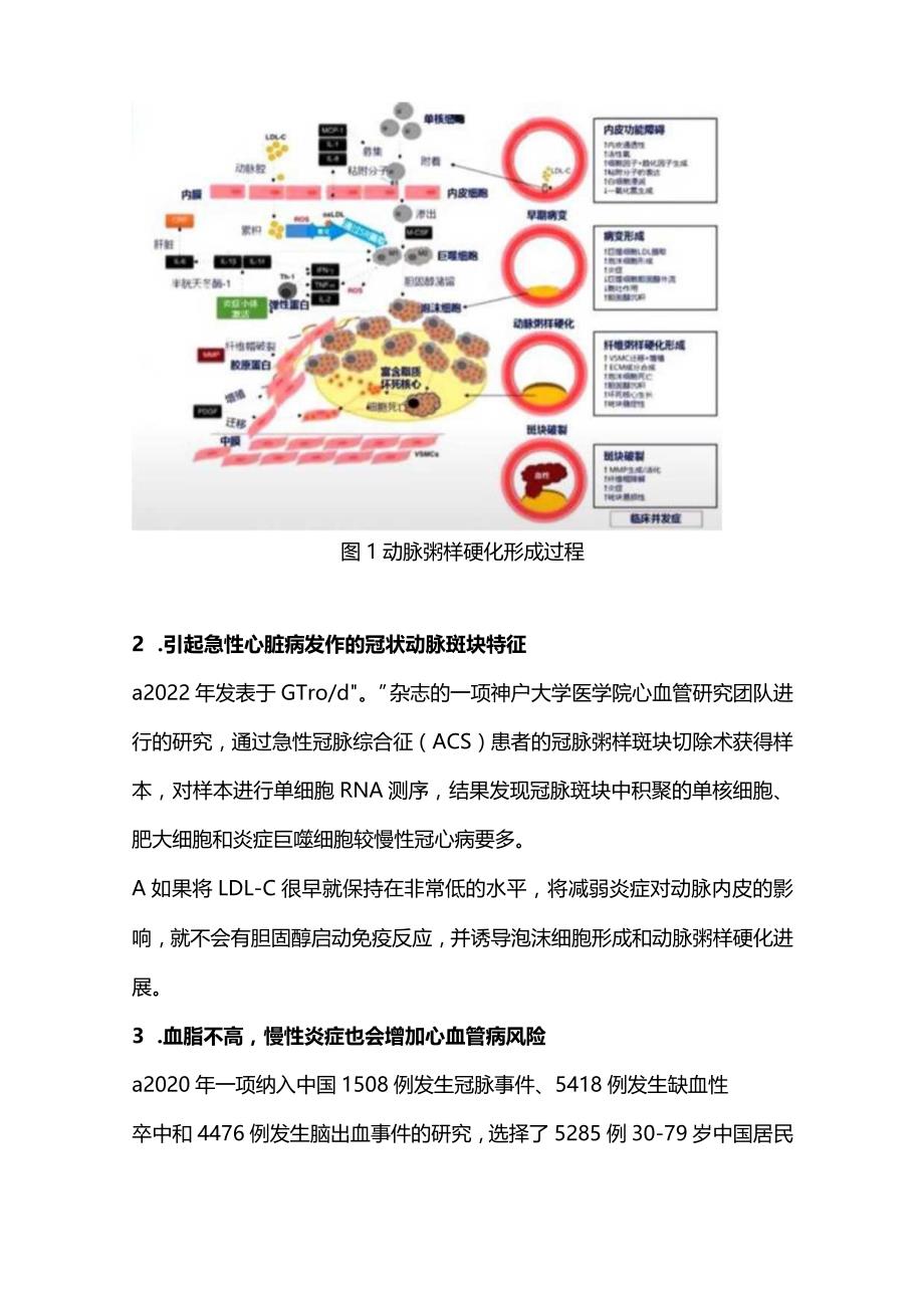 最新：抗炎治疗——代谢性心脏病治疗新靶点APCH 2023.docx_第3页