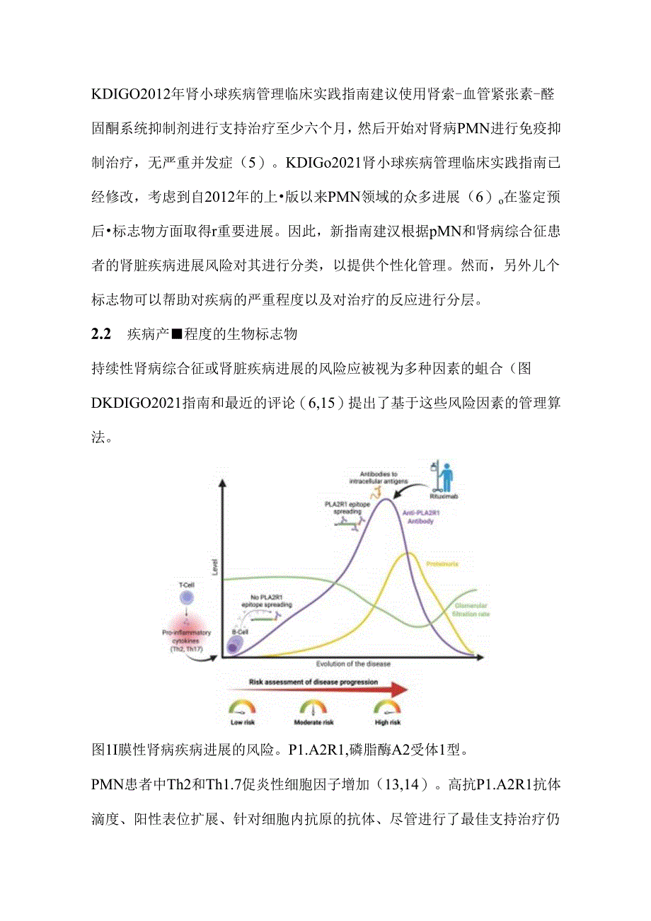 2024原发性膜性肾病和利妥昔单抗难治性膜性肾病管理进展（附图表）.docx_第2页