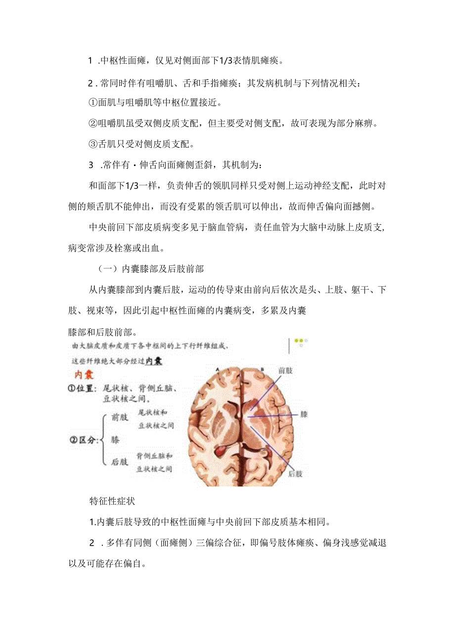 临床中枢性面瘫与周围性面瘫诊断及特征性症状.docx_第2页