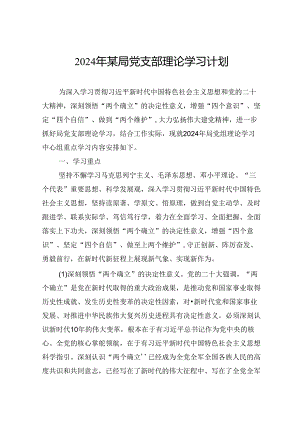 2024年某局党支部理论学习计划.docx
