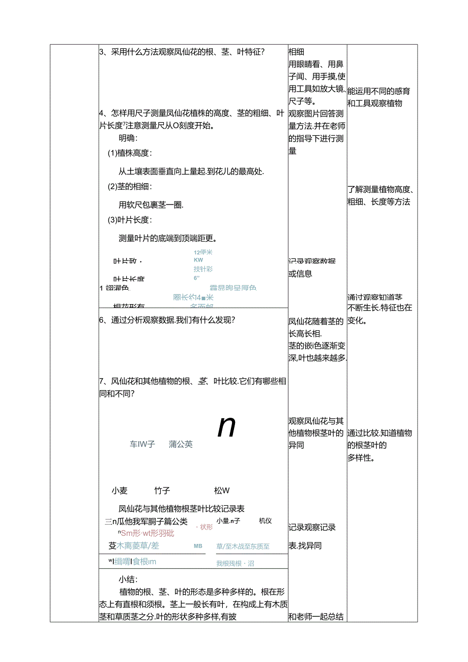 2.6《根茎叶》教案 人教鄂教版小学科学三年级下册.docx_第2页