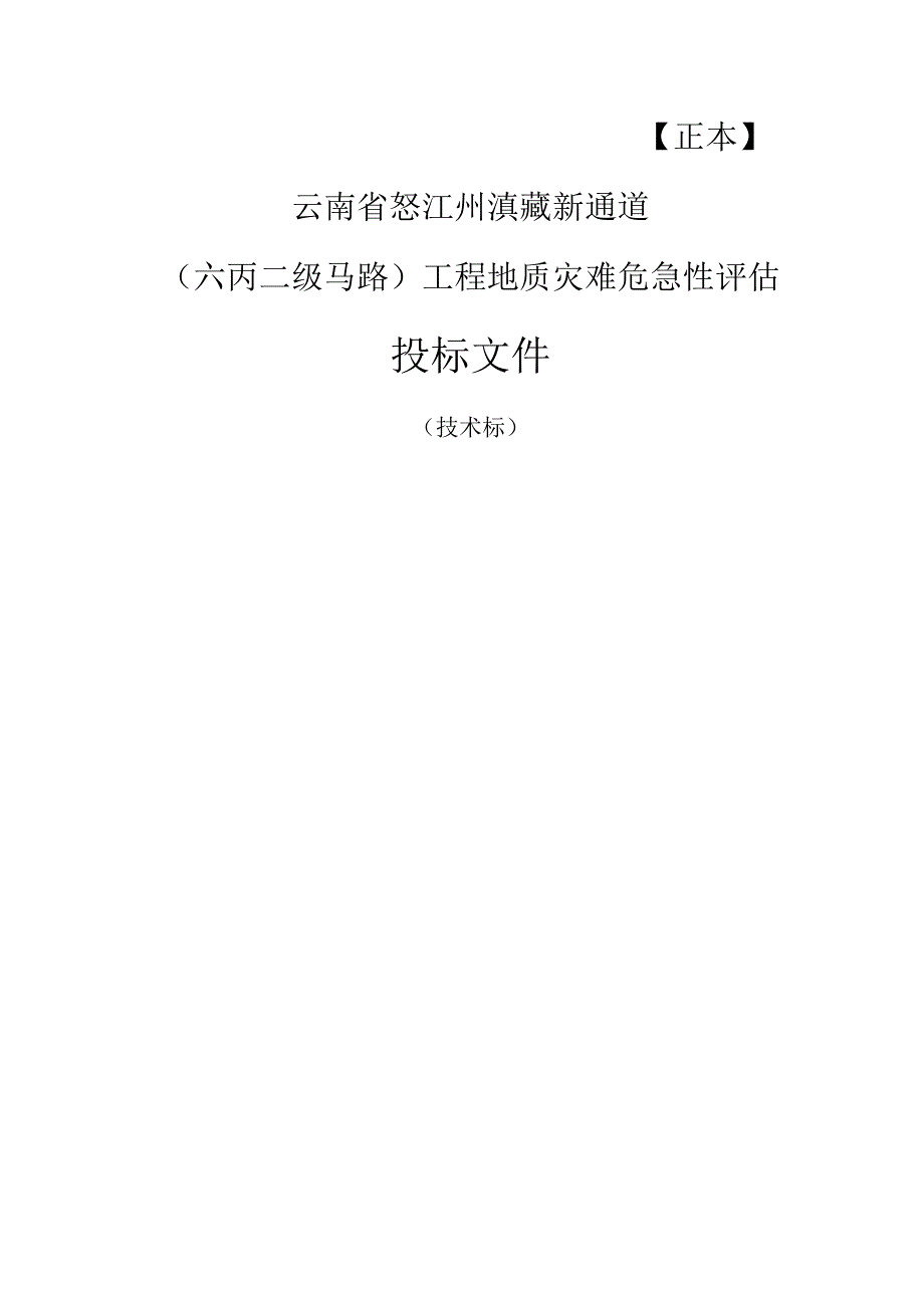 云南六丙二级公路地质灾害危险性评估投标文件.docx_第1页