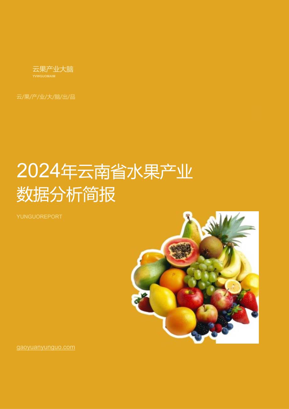 云果-2024年云南省水果产业数据分析简报.docx_第1页