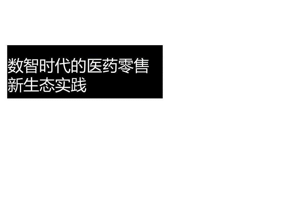 2024 数智时代的医药零售新生态实践.docx_第2页