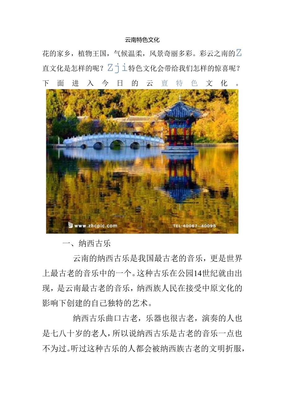 云南特色文化.docx_第1页