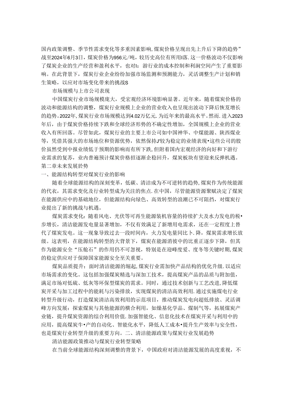 2024-2030年中国煤炭精选行业发展前景及发展策略与投资风险研究报告.docx_第3页