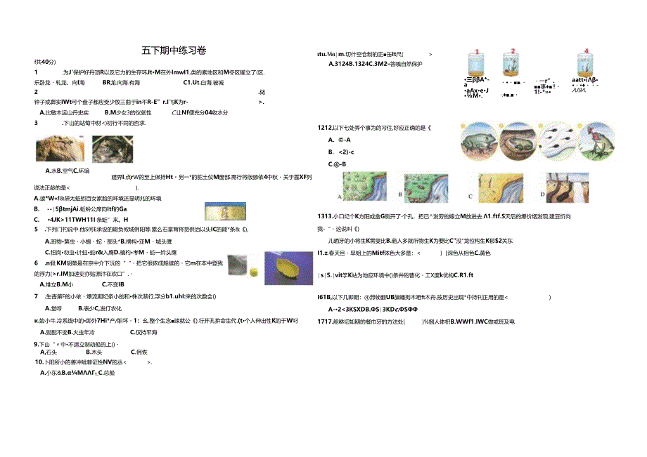 五下科学期中练习卷.docx_第1页