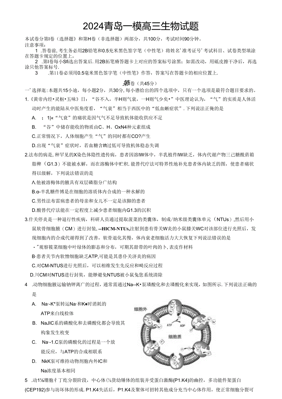 2024山东青岛市一模（试卷+答案）.docx_第1页