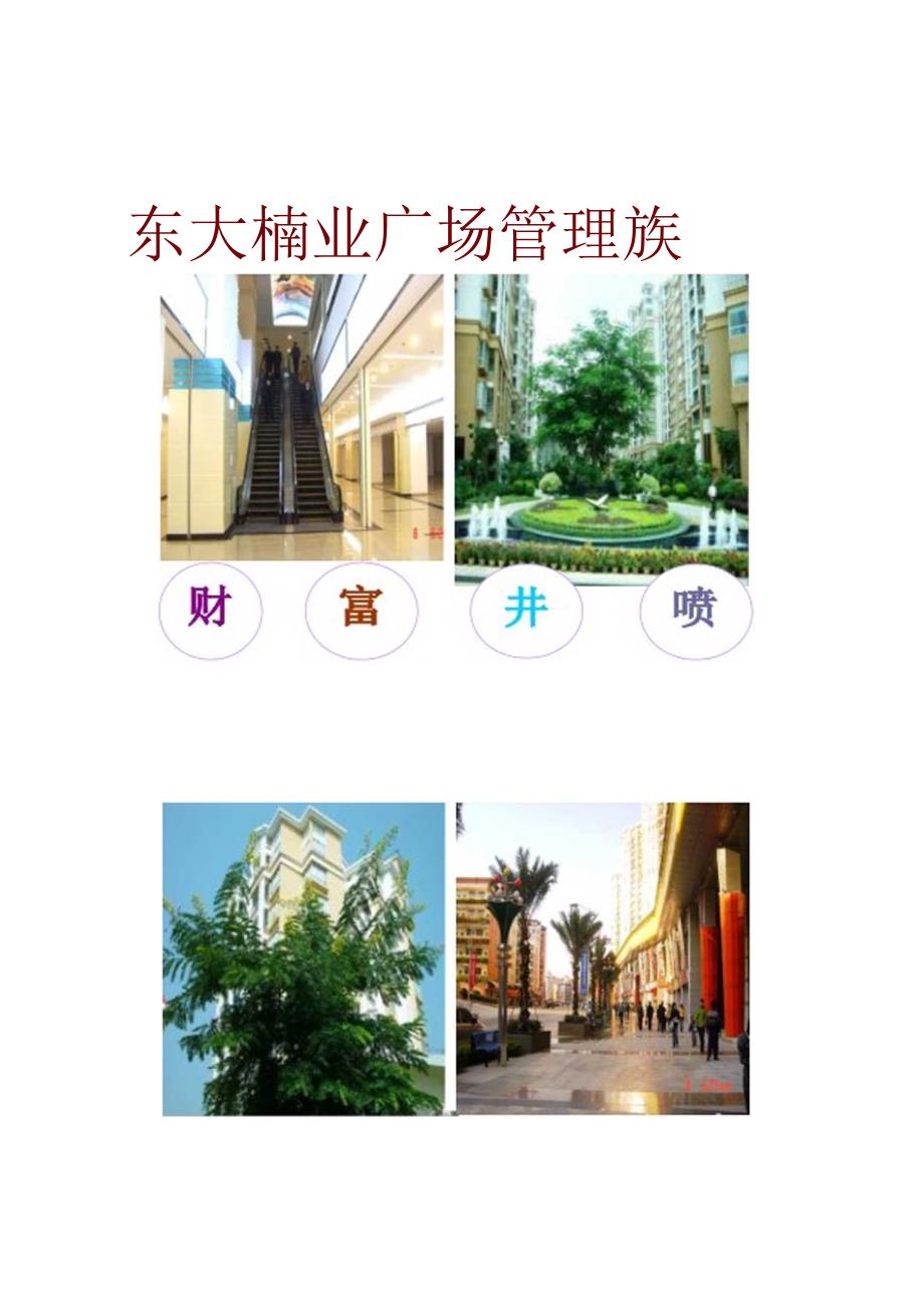 佳兆业深圳布吉东大街商业广场管理方案.docx_第1页