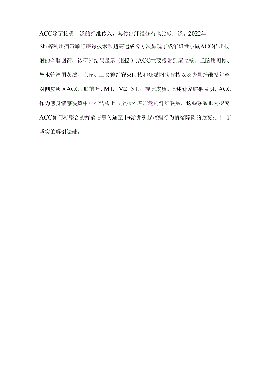 2024前扣带皮质调控疼痛及痛行为的神经环路机制（附图表）.docx_第3页