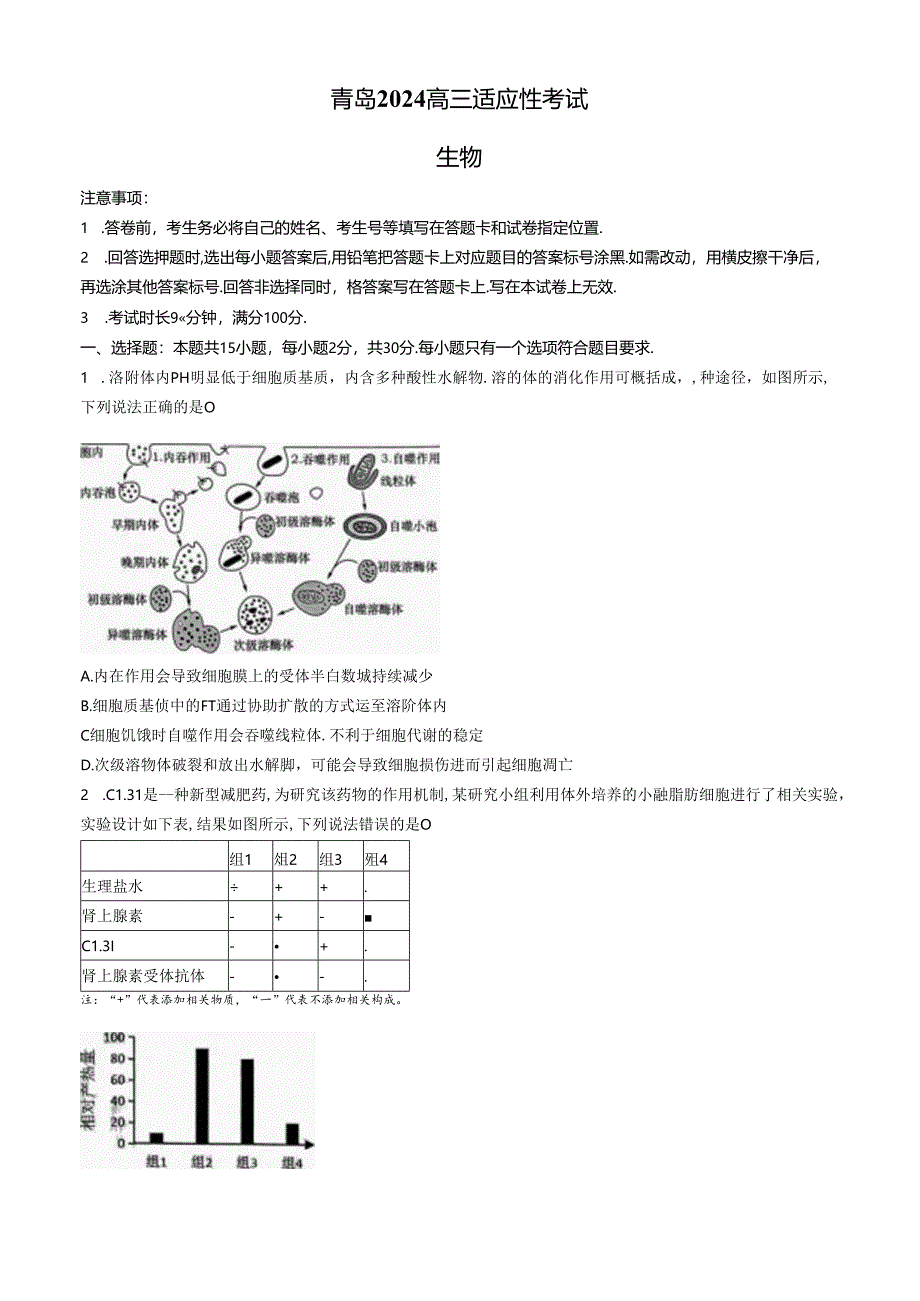 2024山东省青岛三模（试卷+答案）.docx_第1页