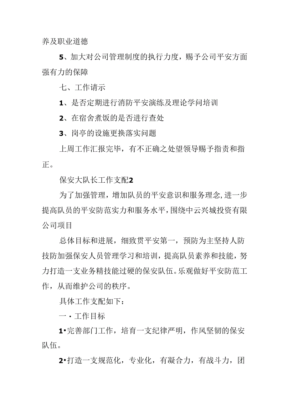 保安大队长工作计划.docx_第3页