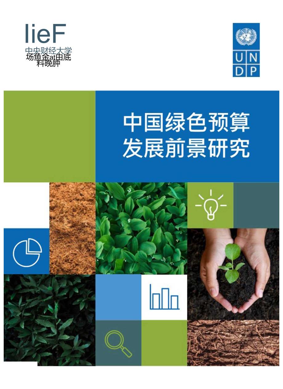 中国绿色预算发展前景研究-中央财经大学&UNDP-2024.5.docx_第1页