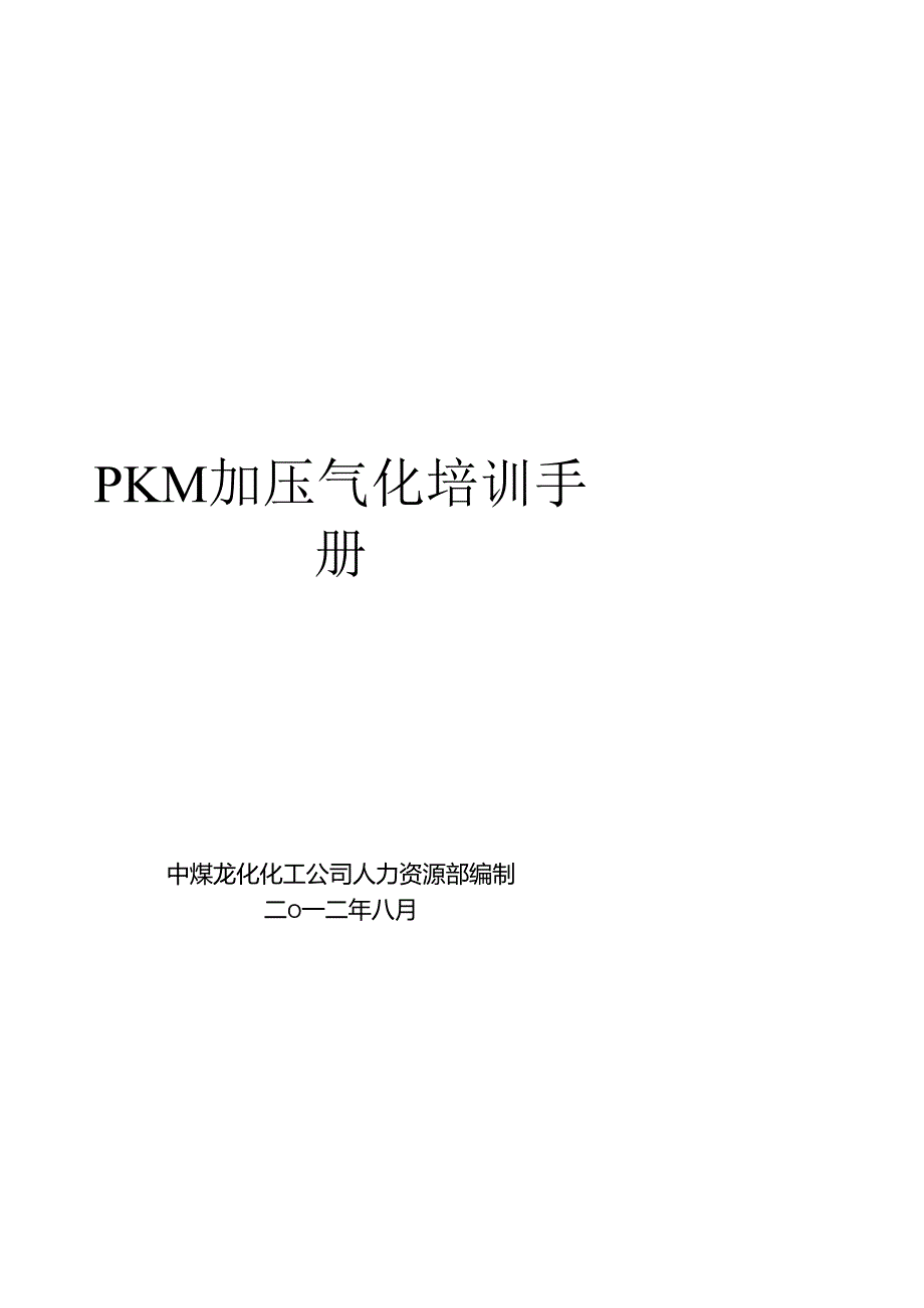 PKM加压气化培训手册.docx_第1页