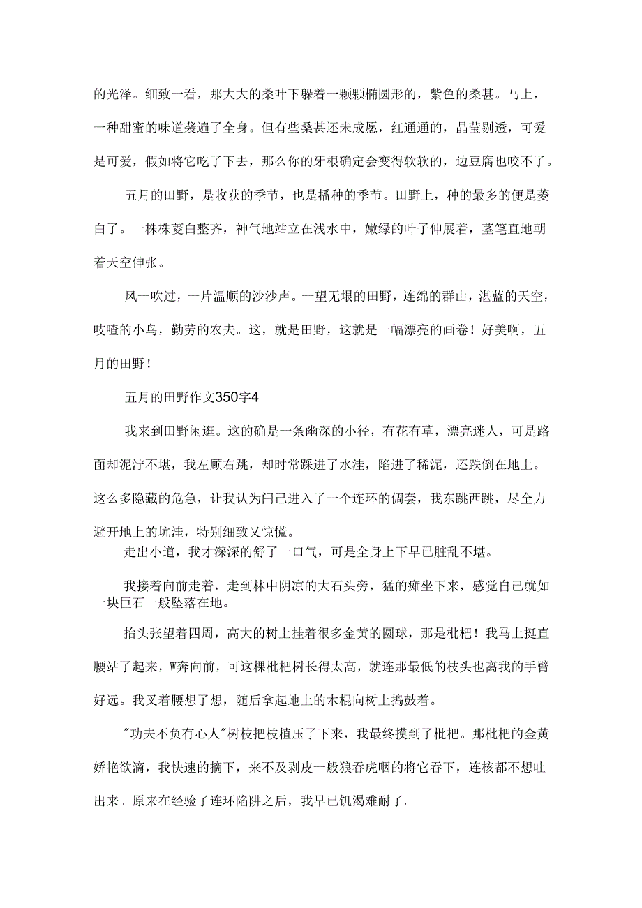 五月的田野作文350字.docx_第3页